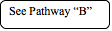 Rounded Rectangle: See Pathway B