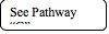 Rounded Rectangle: See Pathway C