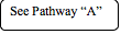 Rounded Rectangle: See Pathway A