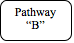 Rounded Rectangle: Pathway B